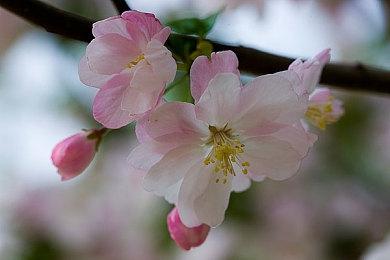 XGP三月上旬新增游戏阵容 《战锤40K：爆矢枪》等